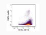 Anti-Mouse Ly-6G (1A8) In Vivo Antibody - Ultra-Low Endotoxin