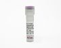 Anti-Mouse RANKL (IK22/5) In Vivo Antibody - Low Endotoxin