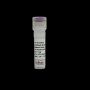 Rat IgG2b (1-2) In Vivo Isotype Control - Low Endotoxin
