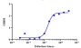 Rovalpituzumab Biosimilar - Research Grade