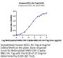 Human ACE2/ACEH Protein (ACE-HM101)