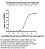 Biotinylated Human ACE2/ACEH Protein (ACE-HM401B)
