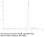 Human AGER Protein (AER-HM101)