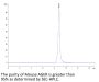 Mouse AGER Protein (AER-MM101)