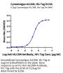 Cynomolgus ALCAM/CD166 Protein (ALC-CM101)