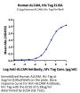Human ALCAM/CD166 Protein (ALC-HM101)