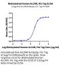 Biotinylated Human ALCAM/CD166 Protein (Primary Amine Labeling) (ALC-HM101B)