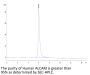 Human ALCAM/CD166 Protein (ALC-HM201)