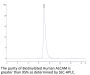 Biotinylated Human ALCAM/CD166 Protein (ALC-HM401B)
