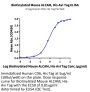 Biotinylated Mouse ALCAM/CD166 Protein (ALC-MM401B)