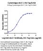 Cynomolgus ALK-7/Activin RIC Protein (ALK-CM107)