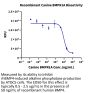 Canine BMPR1A/ALK-3 Protein (ALK-DM201)