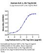 Human ALK-1/ACVRL1 Protein (ALK-HM101)