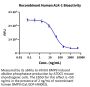 Human ALK-1/ACVRL1 Protein (ALK-HM101)