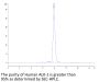Human ALK-1/ACVRL1 Protein (ALK-HM101)