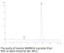 Human BMPR1A/ALK-3 Protein (ALK-HM103)