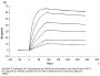 Human ALK-7/Activin RIC Protein (ALK-HM107)