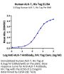 Human ALK-7/Activin RIC Protein (ALK-HM107)