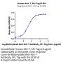 Human ALK-7/Activin RIC Protein (ALK-HM207)