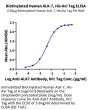 Biotinylated Human ALK-7/Activin RIC Protein (ALK-HM407B)