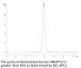 Biotinylated Human ANGPTL2/Angiopoietin-like 2 Protein (ANG-HM4L2B)