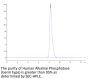 Human Alkaline Phosphatase (Germ type) / ALPG Protein (APE-HM203)