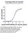Cynomolgus APOH Protein (APH-CM101)