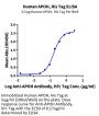 Human APOH Protein (APH-HM101)