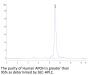 Human APOH Protein (APH-HM101)