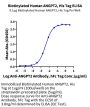 Biotinylated Human ANGPT2/Angiopoietin-2 Protein (APN-HM401B)