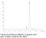 Mouse ANGPT2/Angiopoietin-2 Protein (APN-MM101)