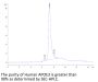Human APOE3/Apolipoprotein E Protein (APO-HM101)