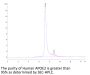 Human APOE2/Apolipoprotein E Protein (APO-HM1E2)