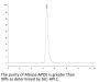 Mouse APOE/Apolipoprotein E Protein (APO-MM202)