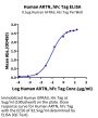 Human ARTN Protein (ARN-HM201)