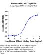 Mouse ARTN Protein (ARN-MM201)