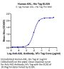 Human AXL Protein (AXL-HM101)