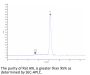 Rat AXL Protein (AXL-RM101)