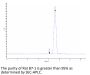 Rat B7-1/CD80 Protein (B71-RM180)