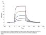 Cynomolgus B7-2/CD86 Protein (B72-CM186)