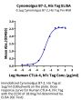 Cynomolgus B7-2/CD86 Protein (B72-CM186)