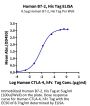 Human B7-2/CD86 Protein (B72-HM486)