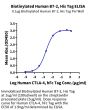 Biotinylated Human B7-2/CD86 Protein (B72-HM486B)
