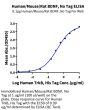 Human/Mouse/Rat BDNF Protein (BDF-HE001)