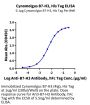 Cynomolgus B7-H3 (4Ig) /CD276 Protein (BH7-CM173)