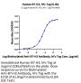 Human B7-H3/CD276 Protein (BH7-HM273)