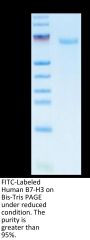 FITC-Labeled Human B7-H3/CD276 Protein (BH7-HM273F)