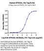 Human BTN3A1/CD277 Protein (BTN-HM1A1)