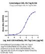 Cynomolgus CA9/Carbonic Anhydrase IX Protein (CA9-CM101)