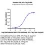 Human CA9/Carbonic Anhydrase IX Protein (CA9-HM201)